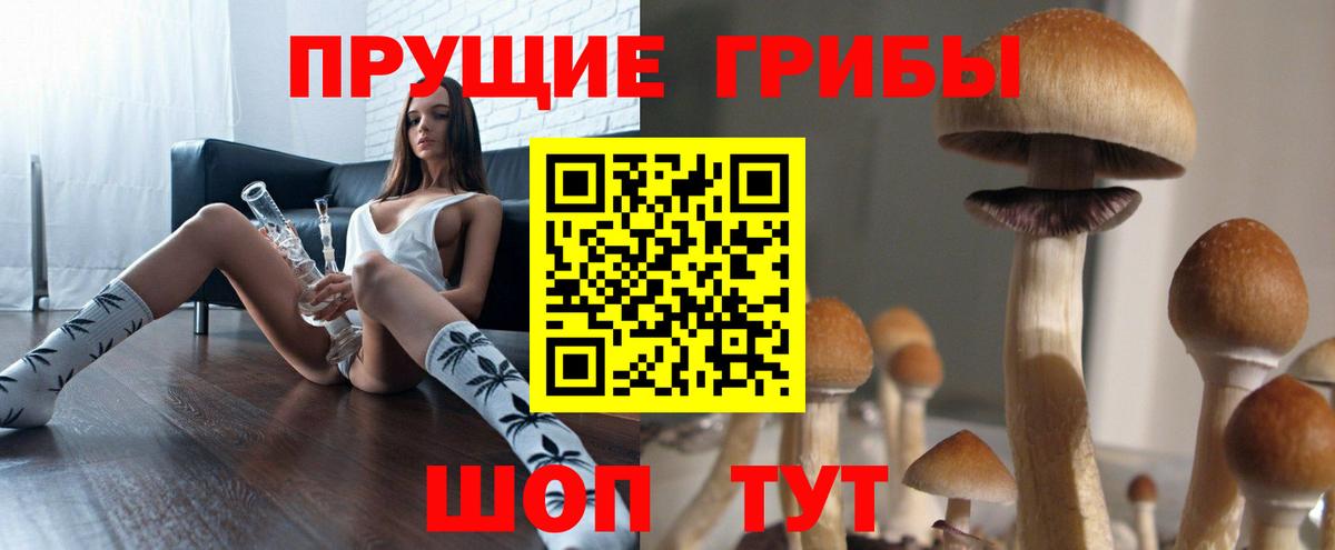 Галлюциногенные грибы мицелий Гусь-Хрустальный